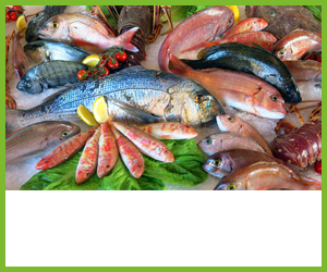 Fresh Fish
